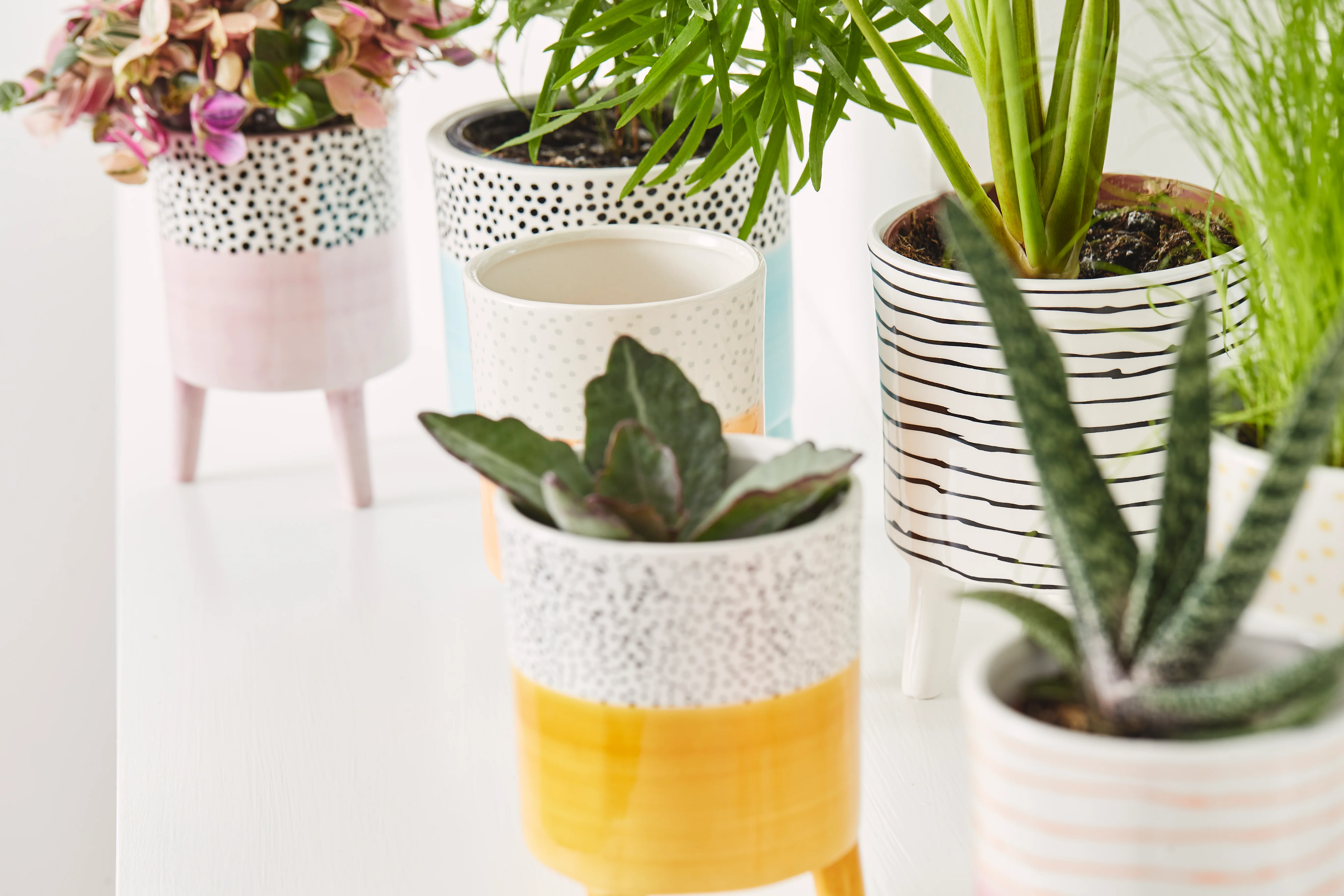 Bahne Ceramic Planter Spotty Yellow - Image 9