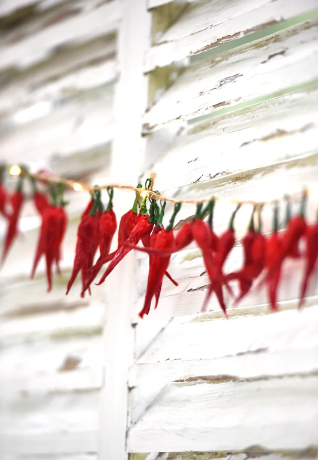 Chilli Pepper LED Fairy Lights - Image 3