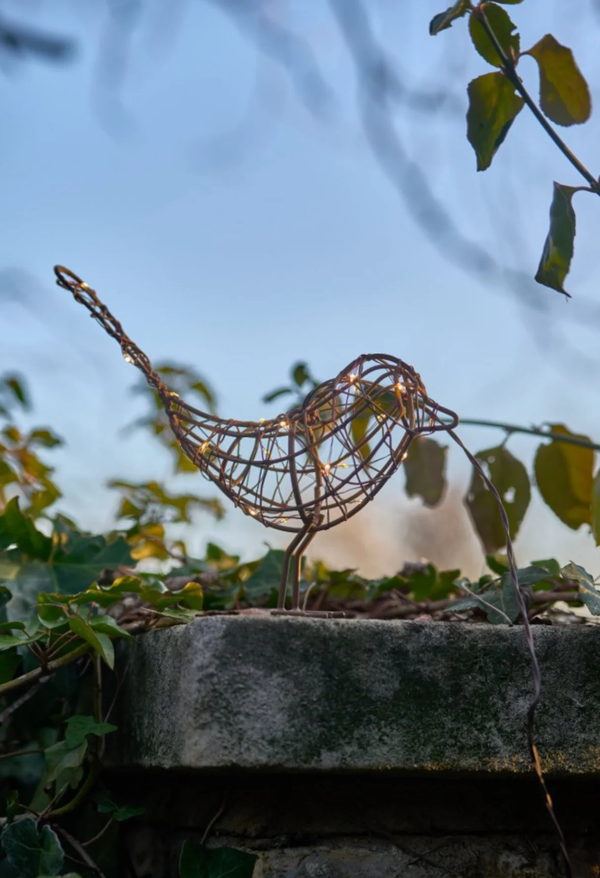 Hanging Robin  LED Fairy Light (Battery Powered) - Image 6