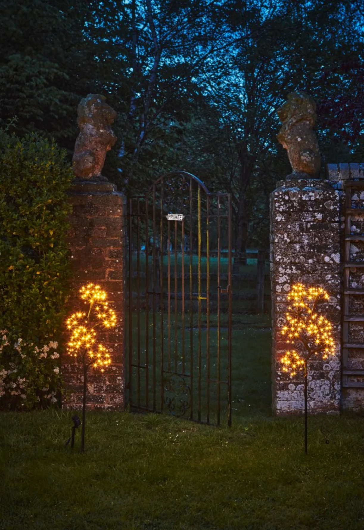Starburst Branch LED Fairy Light (Dual Powered) - Image 3
