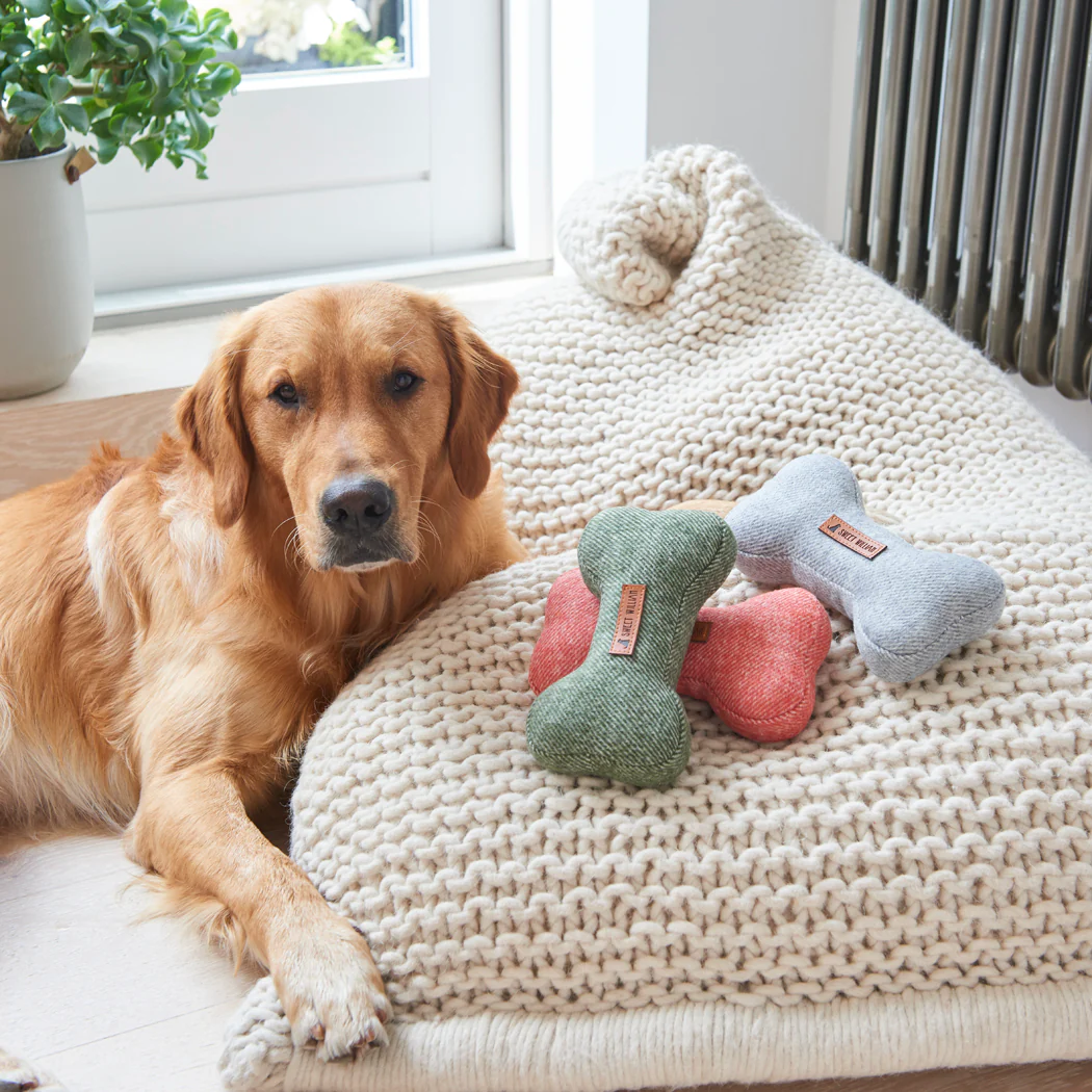 Sweet William Tweed Dog Bone Toy, Green - Image 5