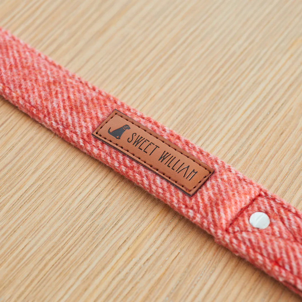 Sweet William Tweed Dog Lead, Orange - Image 2