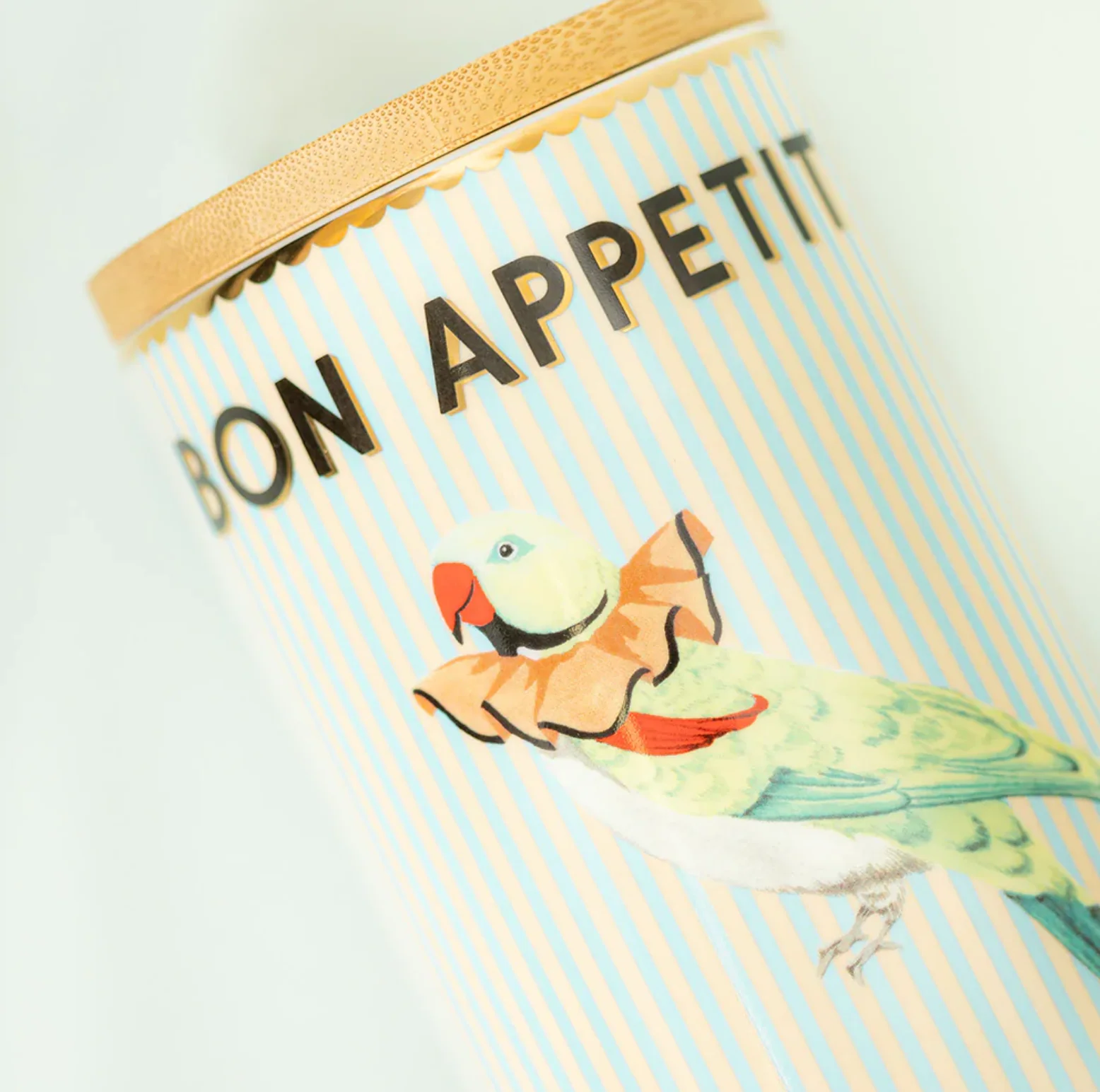 Yvonne Ellen Spaghetti Storage Jar, Parrot - Image 5
